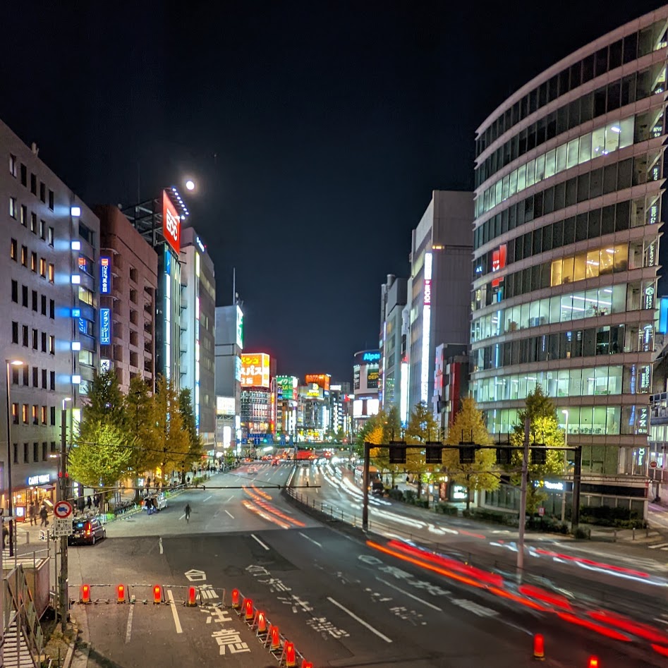 Blick von einer Brücke auf das Vergnügungsviertel Kabukichō