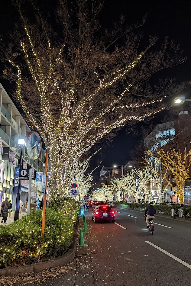 Weihnachtsbeleuchtung auf der Omotesando