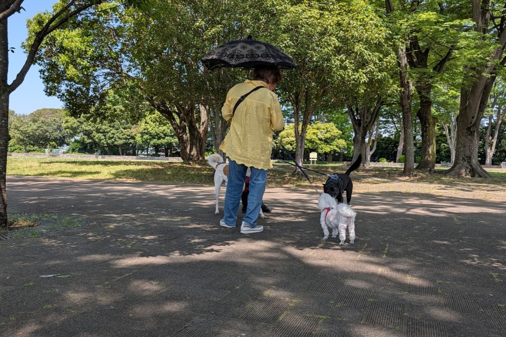 19.05.2026 – Yokohama: Aussichten, Sightseeing,&nbsp;Erkenntnisse