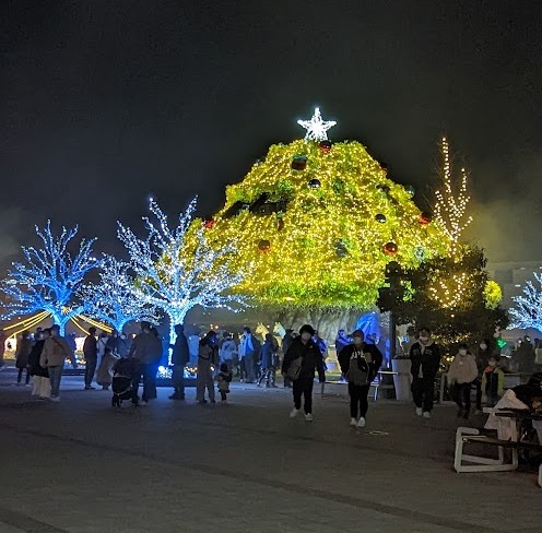 Illuminierter Baum bei der Tokyo Mega Illumination