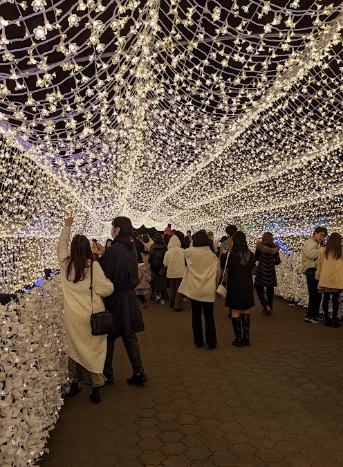 Lichtinstallation mit nachgebauten Reisfeldern bei der Tokyo Mega Illumination