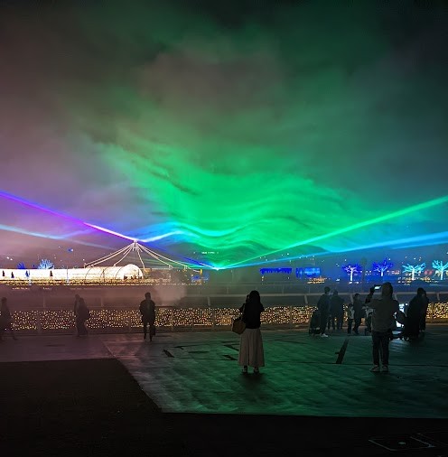 Illuminierte Blumenranken bei der Tokyo Mega Illumination