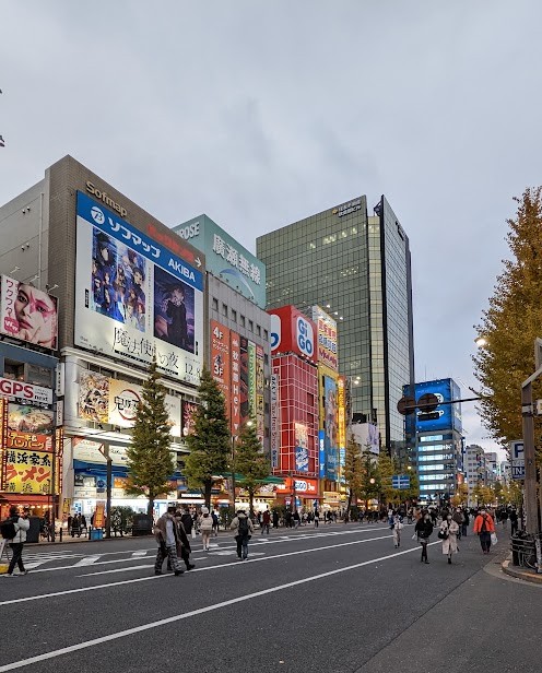 Leuchtreklamen in Akihabara in der Dämmerung