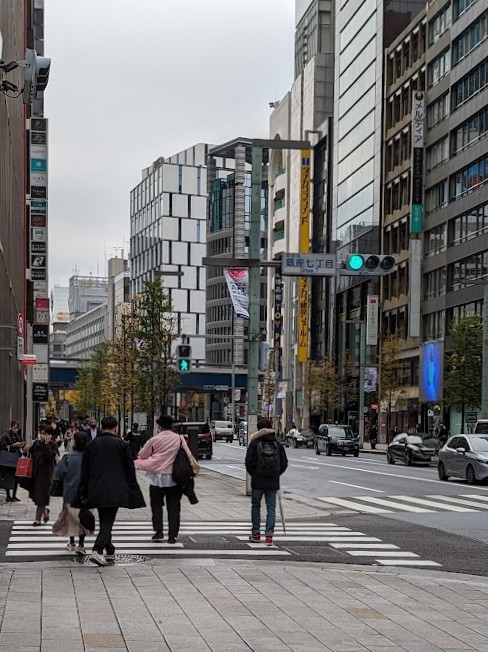 Bäume mit Lichterketten in Ginza