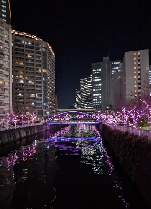 Tokio am Abend nach der Illuminationstour