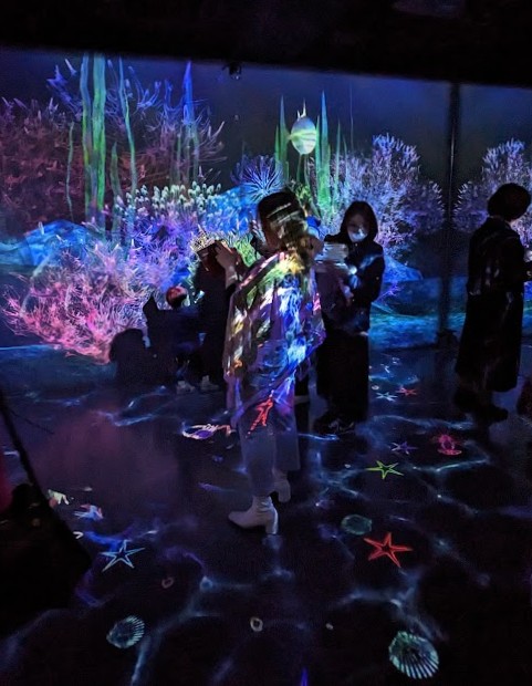 Kostenlose teamLab-Installation in Kooperation mit Samsung